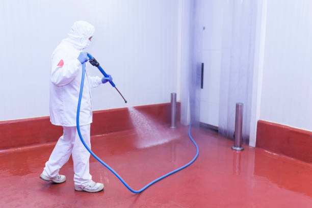 Animal Enclosure Cleaning in Vine Hill, CA